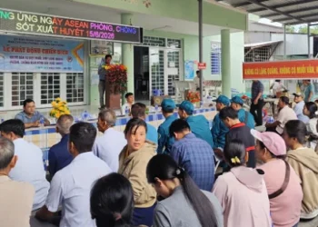 Xã Nhơn Hội phát động chiến dịch diệt lăng quăng