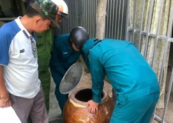 Chiến dịch diệt lăng quăng xã Vĩnh Gia