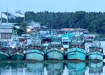 Sở Y tế An Giang tăng cường tuyên truyền thực hiện các khuyến nghị của Ủy ban châu Âu về chống khai thác hải sản bất hợp pháp IUU