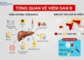 Video – 6 bước rửa tay đúng cách phòng chống dịch bệnh theo tiêu chuẩn Bộ Y  tế