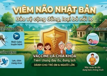 Video – Viêm não Nhật Bản, bảo vệ cộng đồng, loại bỏ nỗi lo