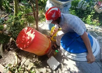 Chiến dịch diệt lăng quăng phòng, chống sốt xuất huyết tại đặc khu Kiên Hải