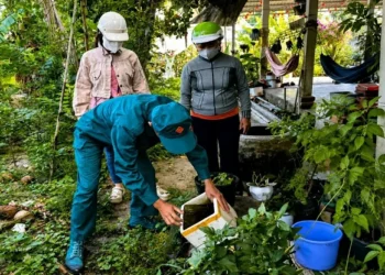 Ba Chúc xử lý ổ dịch sốt xuất huyết và phun hóa chất diệt muỗi
