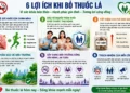 Đừng để sự chủ quan đánh đổi sức khỏe của trẻ trước bệnh Tay Chân Miệng