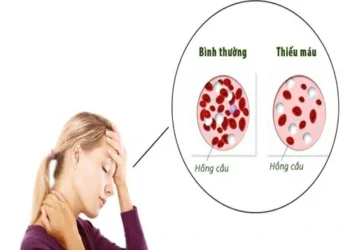 Chủ động phòng, chống bệnh Dại – bảo vệ sức khỏe cộng đồng