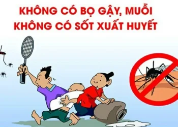 Bệnh Sốt Xuất Huyết: dấu hiệu nhận biết và cách phòng, chống