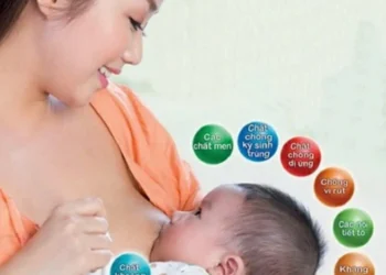 Bệnh Sốt Xuất Huyết: dấu hiệu nhận biết và cách phòng, chống