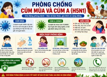 Đừng để sự chủ quan đánh đổi sức khỏe của trẻ trước bệnh Tay Chân Miệng