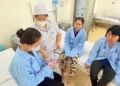 Châu Đốc triển khai tích hợp sổ khám sức khỏe điện tử: Quyền lợi của người dân khi thông tin khám bệnh, chữa bệnh được tích hợp, đồng bộ trên ứng dụng VneID