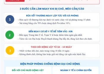 Infographic – Hưởng ứng ngày thế giới Phòng, chống bệnh Dại năm 2026