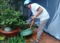 Trạm Y tế xã Thạnh Mỹ Tây ra quân vệ sinh môi trường, diệt lăng quăng phòng, chống sốt xuất huyết