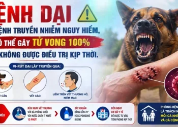 Video – Phòng chống bệnh dại