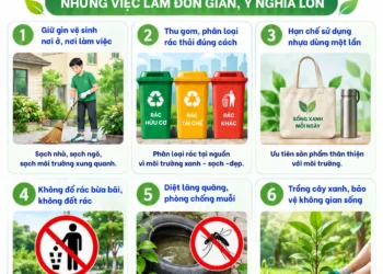Infographic – Vệ sinh môi trường để bảo vệ sức khỏe