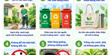 Infographic – Vệ sinh môi trường để bảo vệ sức khỏe