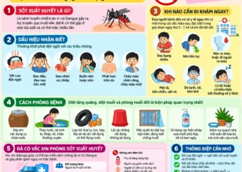Sốt xuất huyết và cách phòng bệnh