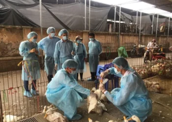 Bệnh Bạch hầu: nhận biết sớm, phòng bệnh đúng cách, bảo vệ sức khỏe cộng đồng
