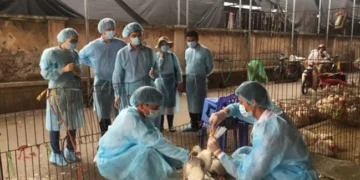 Bệnh Bạch hầu: nhận biết sớm, phòng bệnh đúng cách, bảo vệ sức khỏe cộng đồng