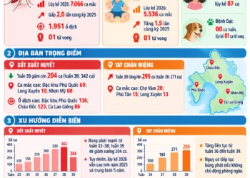 Infographic – Tình phòng, chống dịch bệnh truyền nhiễm tại An Giang (Cập nhật: tuần 39/2026)