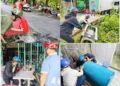 Xã Phú An ra quân chiến dịch diệt lăng quăng phòng, chống sốt xuất huyết đợt 3 năm 2026