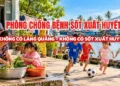 Video – Phòng chống sốt xuất huyết