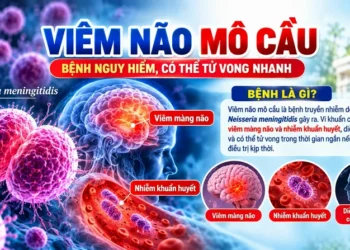 Video – Viêm não mô cầu, bệnh nguy hiểm có thể tử vong nhanh